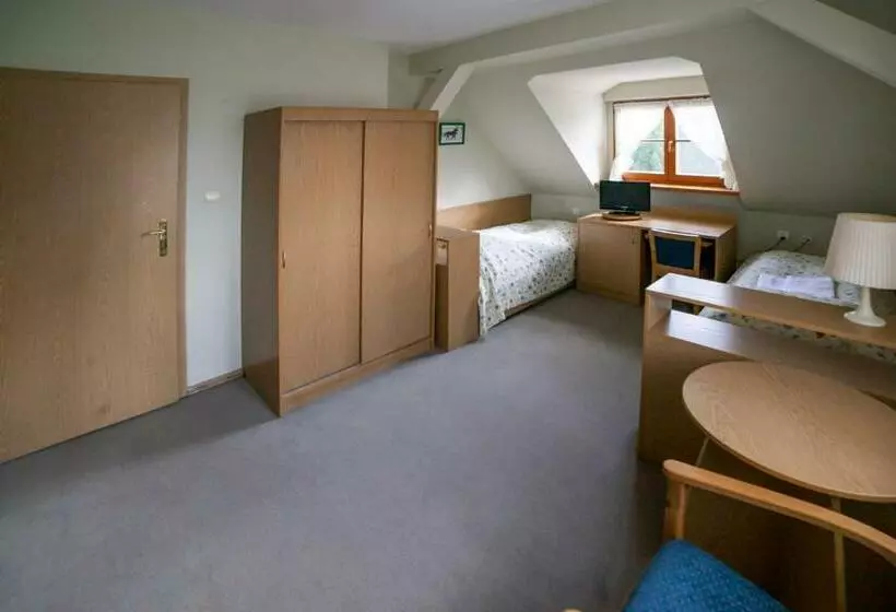 Aamiaismajoitus (B&B) Pensjonat Myśliwski