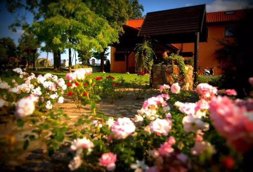 Aamiaismajoitus (B&B) Villa Natura