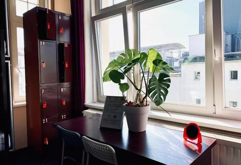 Chilli Hostel