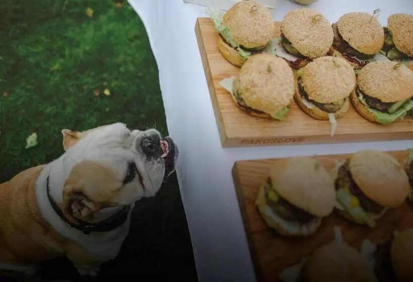 Hotelli Pałac Pakosław