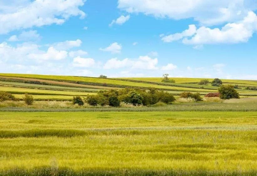 Hotelli Pałac Pakosław