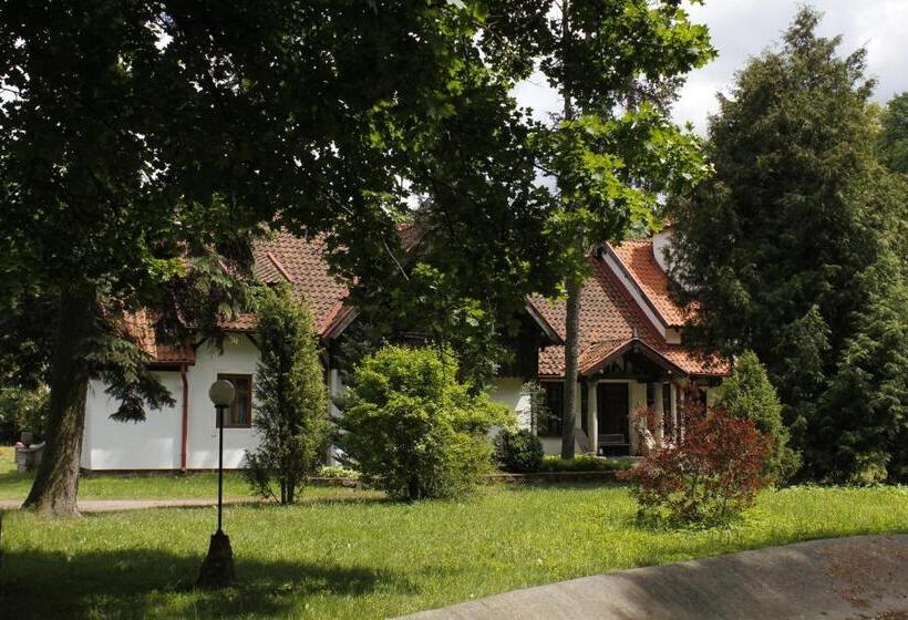 호텔 Pensjonat Wiking