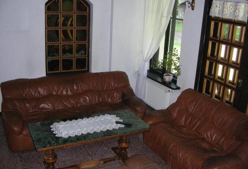 호텔 Pensjonat Wiking