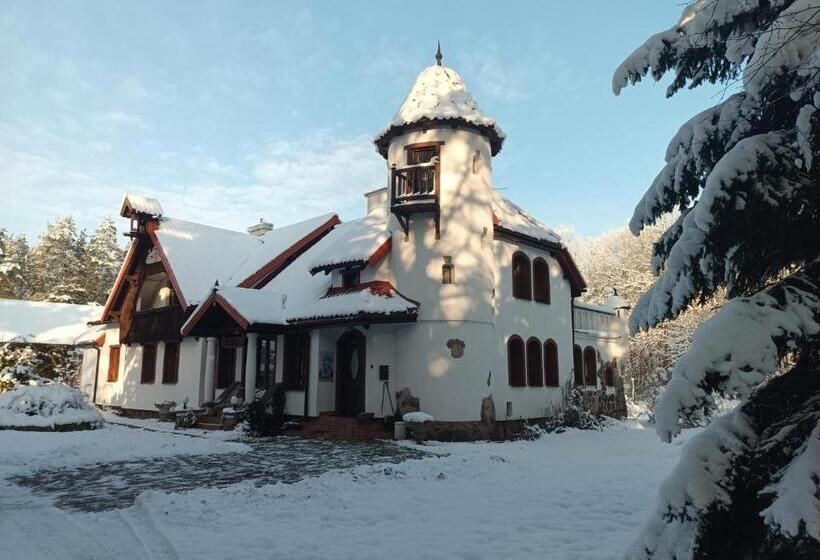 호텔 Pensjonat Wiking