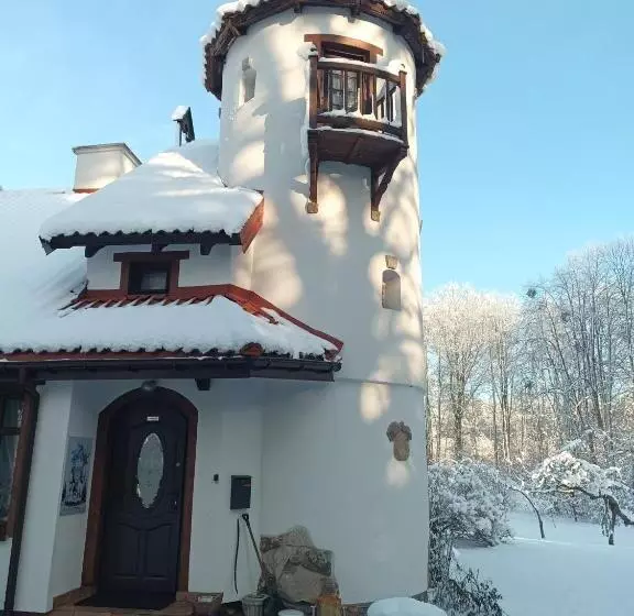 ホテル Pensjonat Wiking