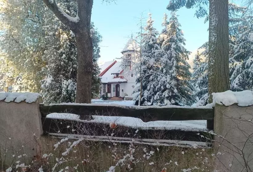 ホテル Pensjonat Wiking
