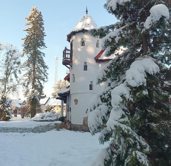 호텔 Pensjonat Wiking