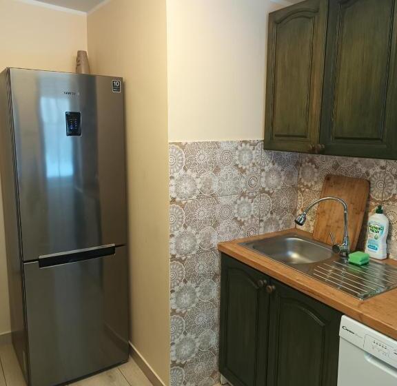 호텔 Pensjonat Wiking