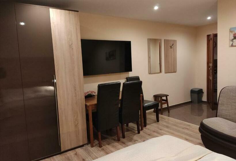 Пансион Willa Klaudia Ustroń Centrum