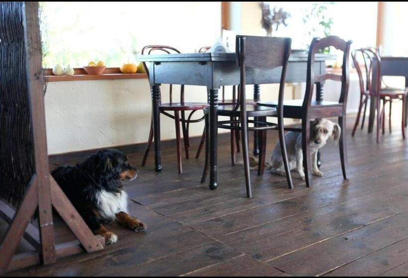 הוסטל Karczma Stary Młyn