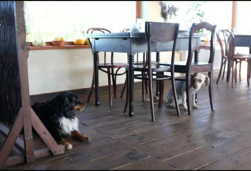 هاستل Karczma Stary Młyn