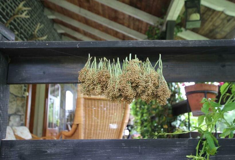 민박 Borszówka Dom Nad Potokiem   Pensjonat