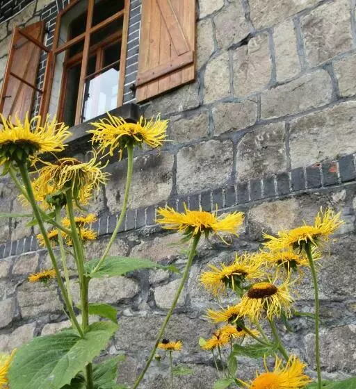 تختخواب و صبحانه Borszówka Dom Nad Potokiem   Pensjonat