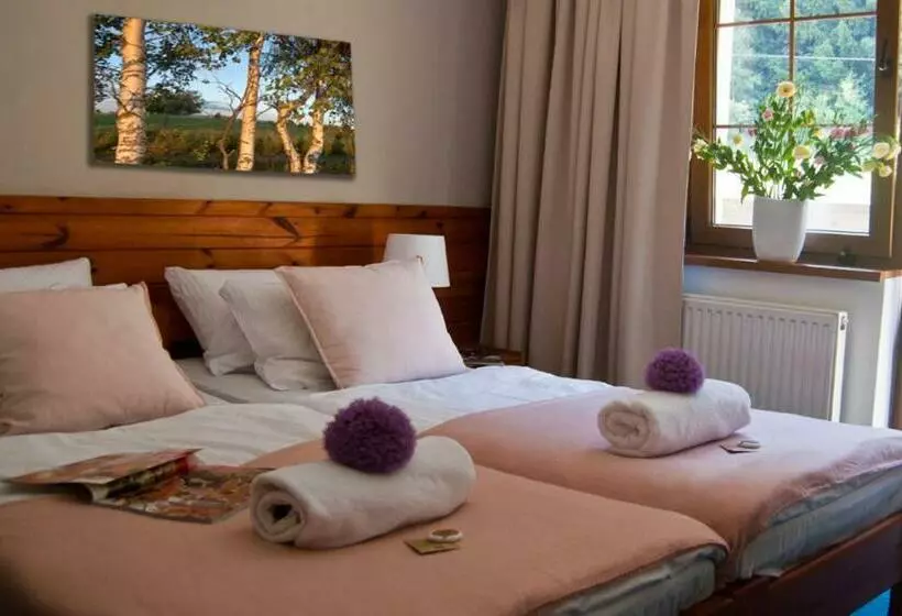 Hotelli Górski Czarna Góra