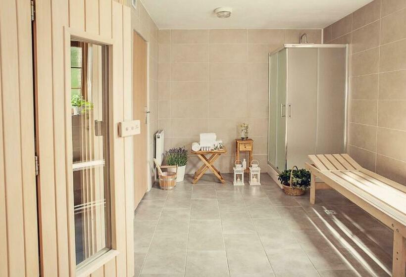 בית מלון כפרי Górski Czarna Góra