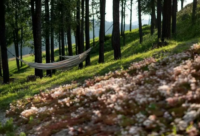 Hotelli Harnaś Dla Dorosłych Z Widokiem Na Tatry   Adults Only