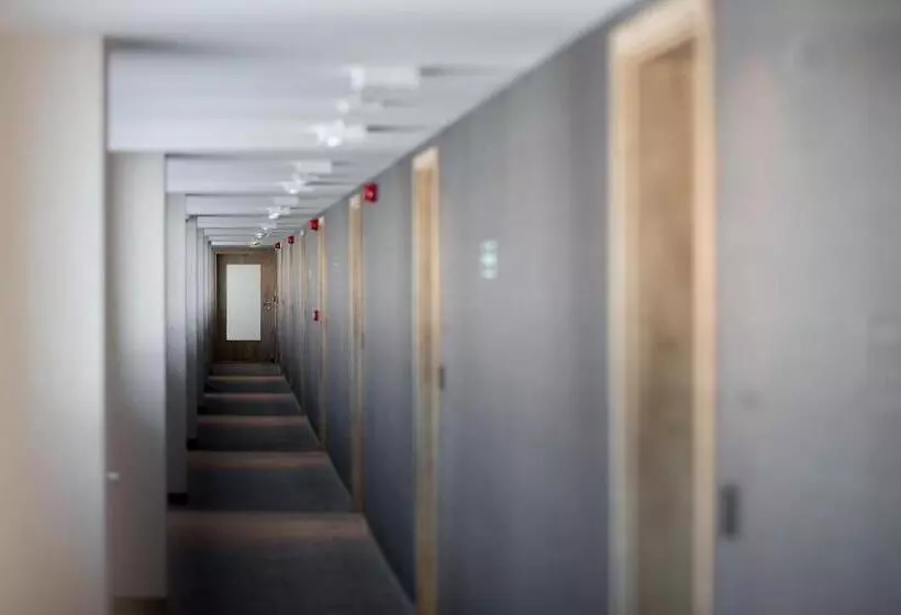 Hotelli Harnaś Dla Dorosłych Z Widokiem Na Tatry   Adults Only