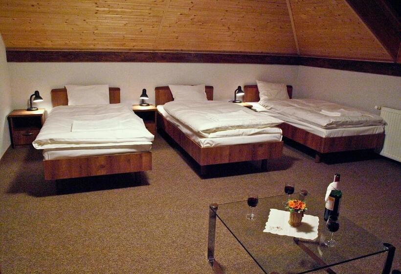 هتل Noclegi Helvet