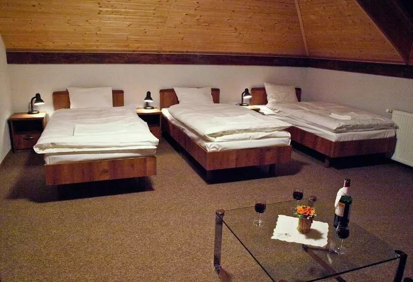 Hotelli Noclegi Helvet