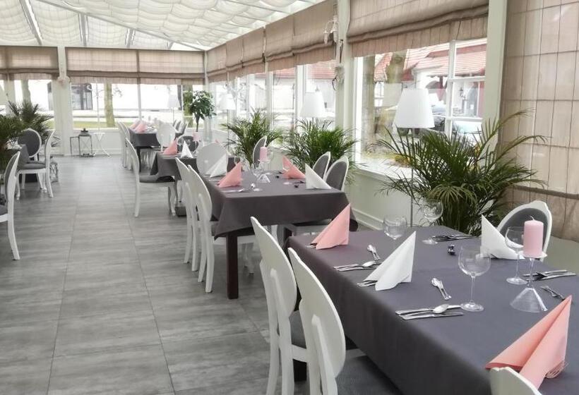 Hotel Paå‚ac åagã³w