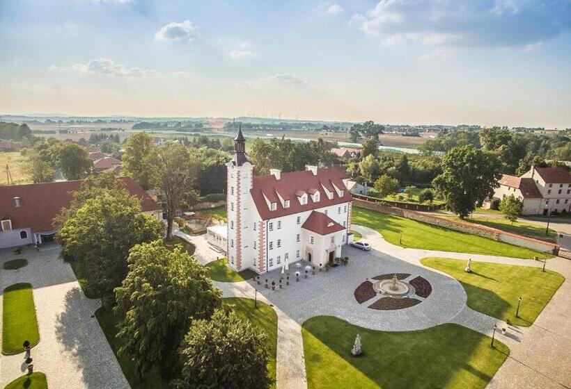 Hotel Paå‚ac åagã³w