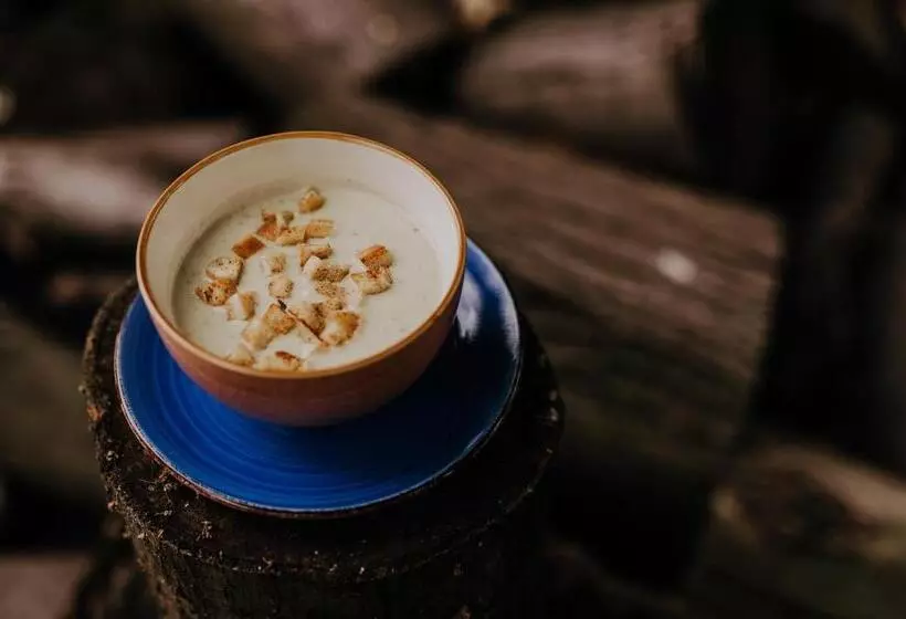 Hotelli Zajazd Pod Szyszkami