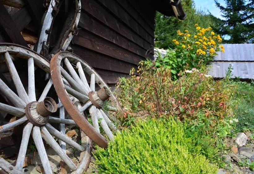 פנסיון Werchowyna