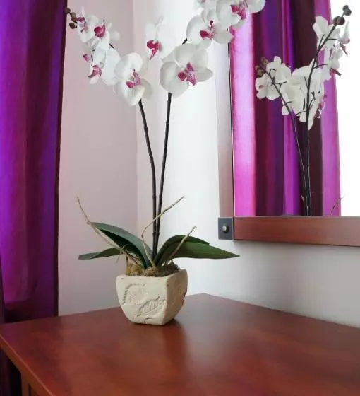 پانسیون Willa Akacja