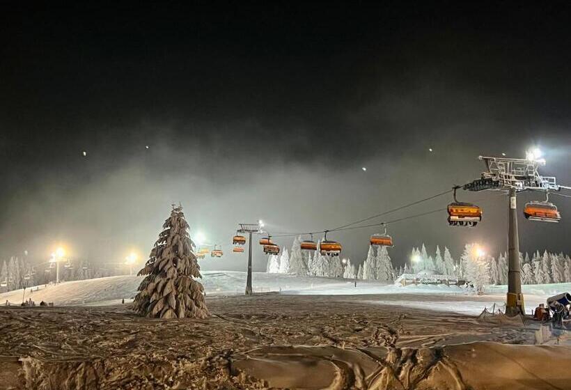 리조트 Alpejski Zieleniec