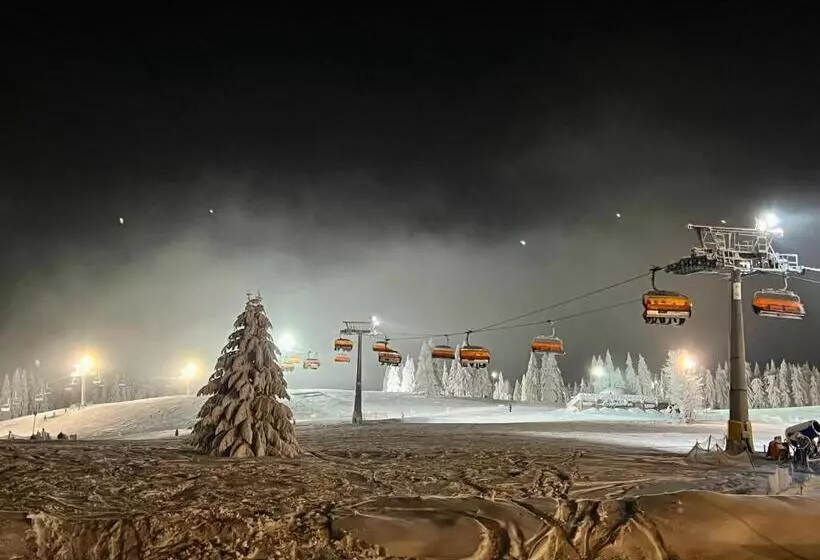 Lomakeskus Alpejski Zieleniec