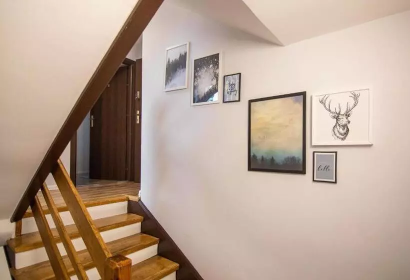 5 Wierchów Apartamenty