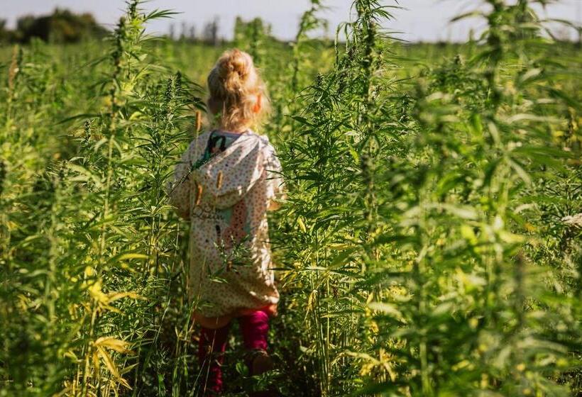 Apartamenty Rodzinne Plater74