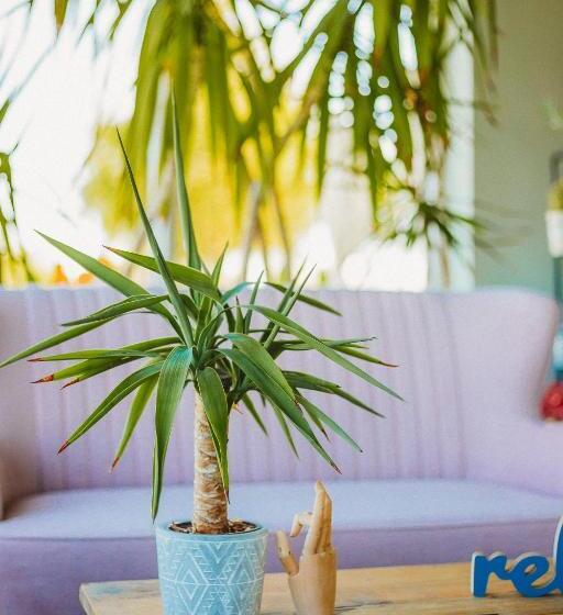 Apartamenty Rodzinne Plater74