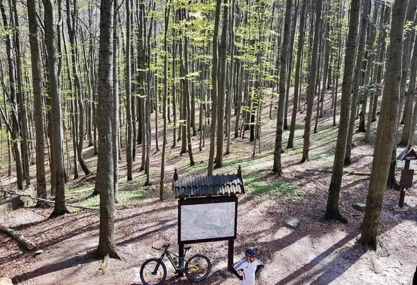 فندق Agroturystyka źródełko