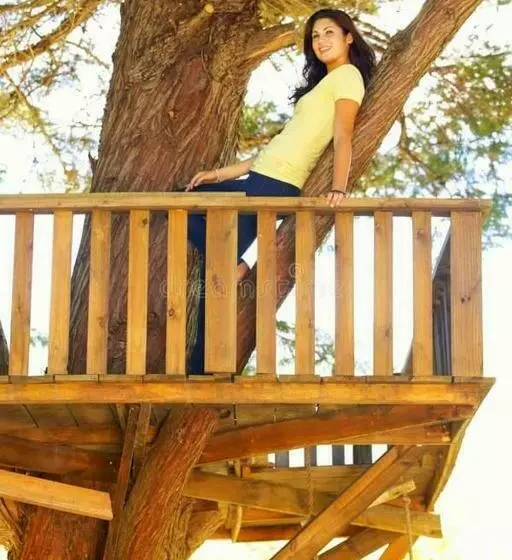 ホテル Tree House 4 Nature Lovers