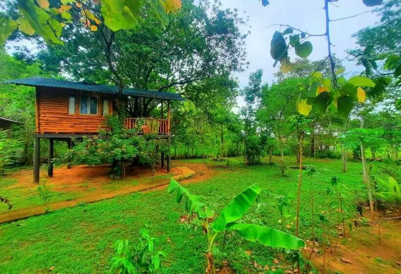 ホテル Tree House 4 Nature Lovers