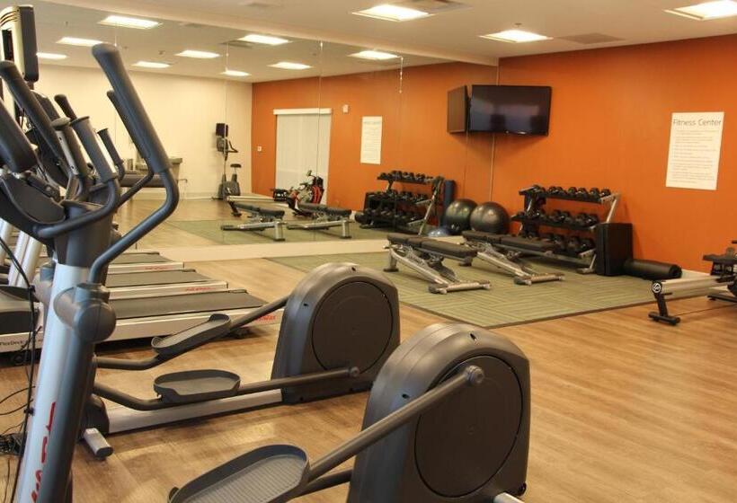 فندق Holiday Inn Express & Suites   Phoenix   Airport North, An Ihg