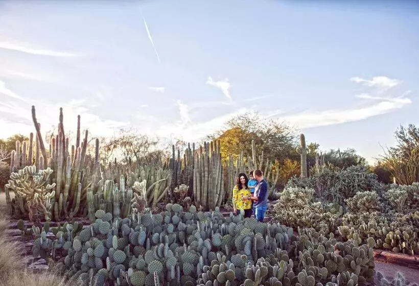 ホテル Holiday Inn Express & Suites   Phoenix   Airport North, An Ihg