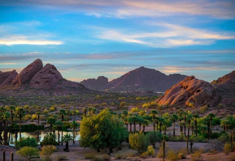 فندق Holiday Inn Express & Suites   Phoenix   Airport North, An Ihg