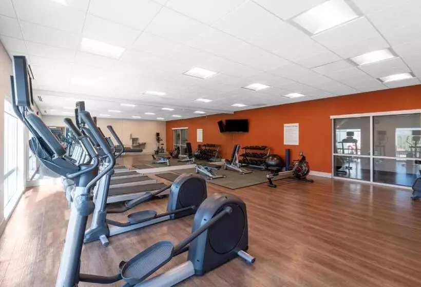 ホテル Holiday Inn Express & Suites   Phoenix   Airport North, An Ihg