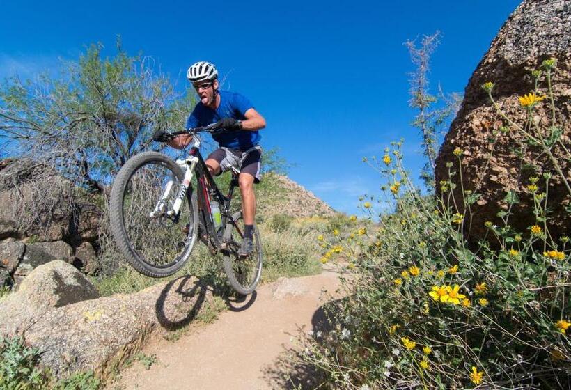 فندق Holiday Inn Express & Suites   Phoenix   Airport North, An Ihg