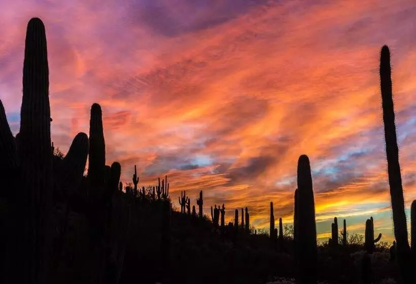 ホテル Holiday Inn Express & Suites   Phoenix   Airport North, An Ihg