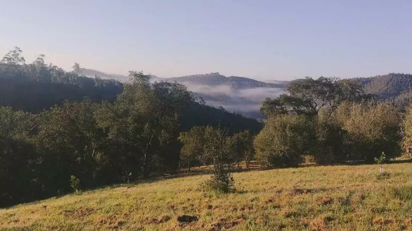 هتل Herdade Da Maceira
