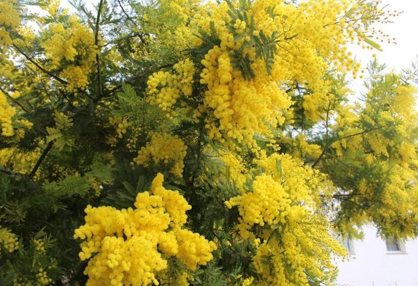 פנסיון Alla Stazione