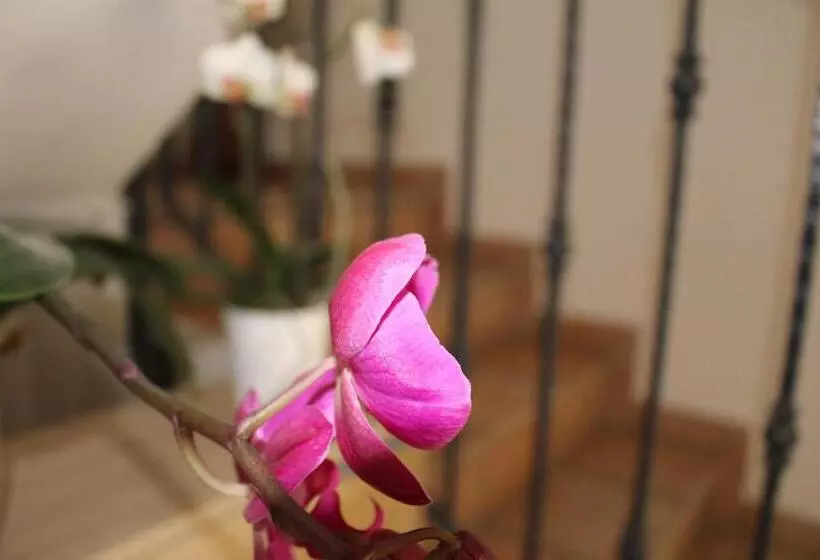 پانسیون Alla Stazione