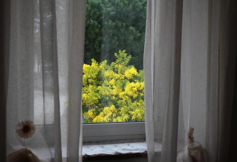 פנסיון Alla Stazione