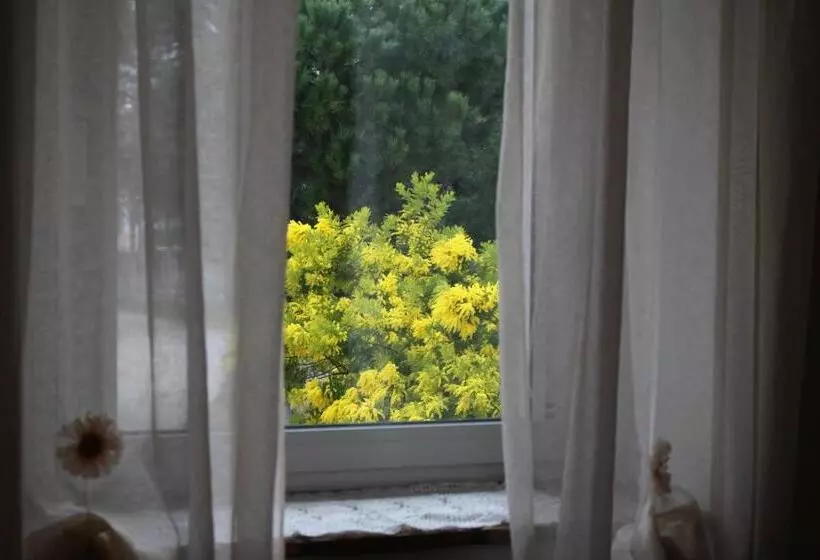 پانسیون Alla Stazione