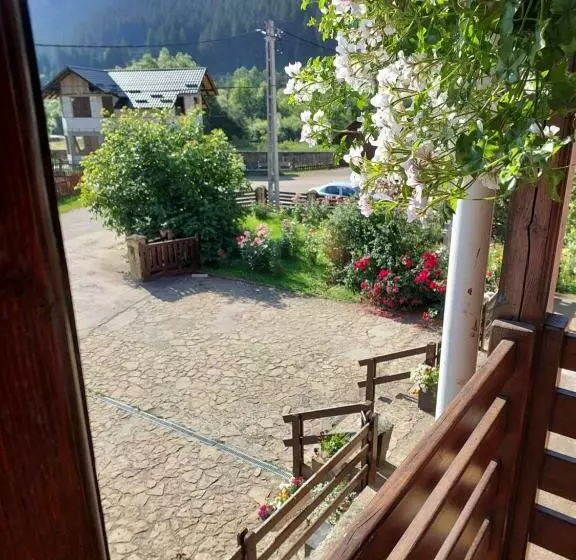 Majatalo Casa Sandu Sadova