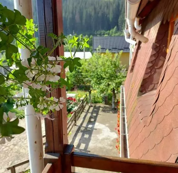 Majatalo Casa Sandu Sadova