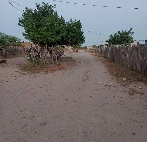 ペンション Hostal Mayapo Beach